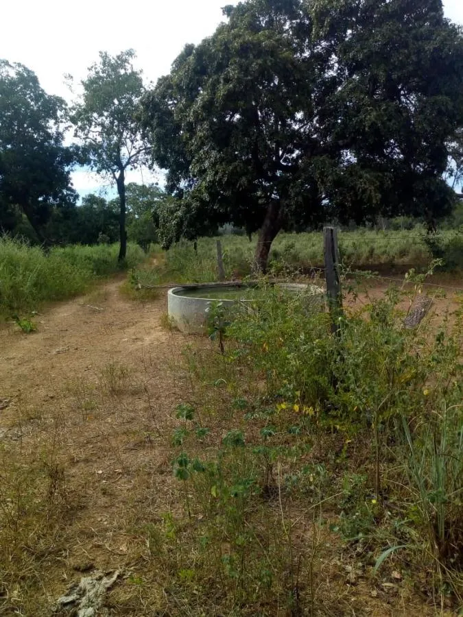 Fazenda à venda de 189 ha em Ponto Chique, MG, Brasil