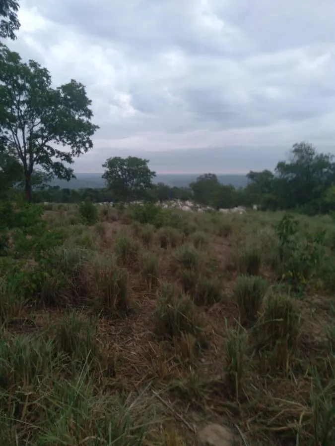 Fazenda à venda de 189 ha em Ponto Chique, MG, Brasil