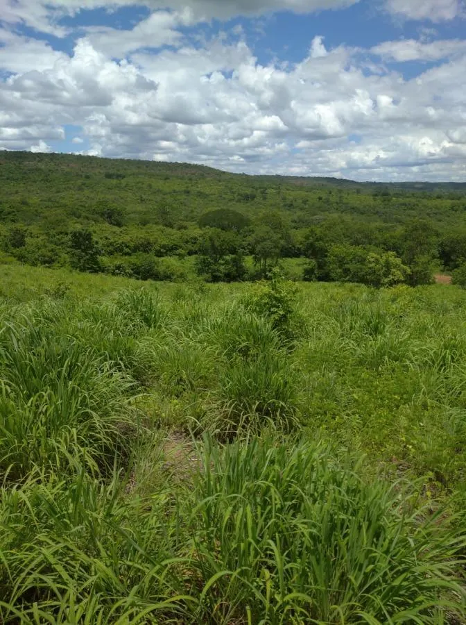 Fazenda à venda de 189 ha em Ponto Chique, MG, Brasil