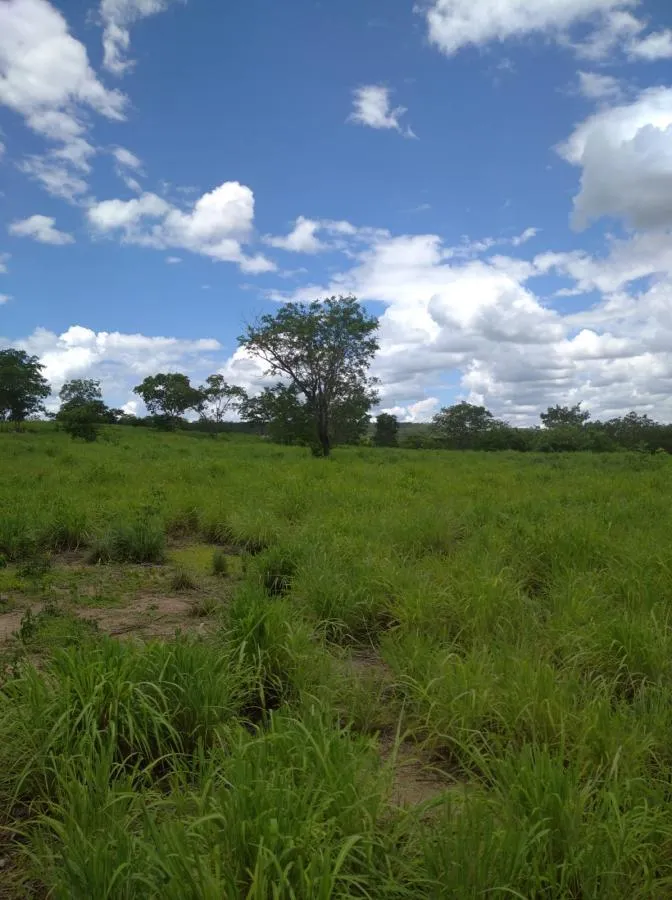 Fazenda à venda de 189 ha em Ponto Chique, MG, Brasil
