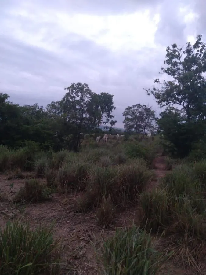 Fazenda à venda de 189 ha em Ponto Chique, MG, Brasil