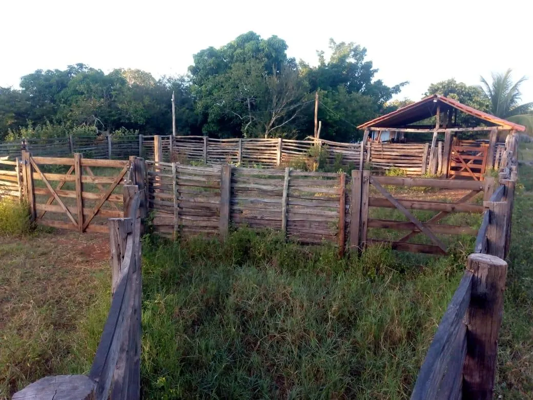 Fazenda à venda de 189 ha em Ponto Chique, MG, Brasil