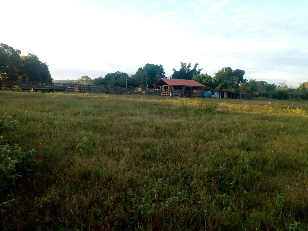 Fazenda à venda de 189 ha em Ponto Chique, MG, Brasil