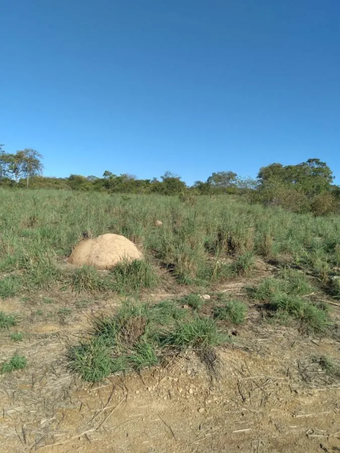 Fazenda à venda de 189 ha em Ponto Chique, MG, Brasil