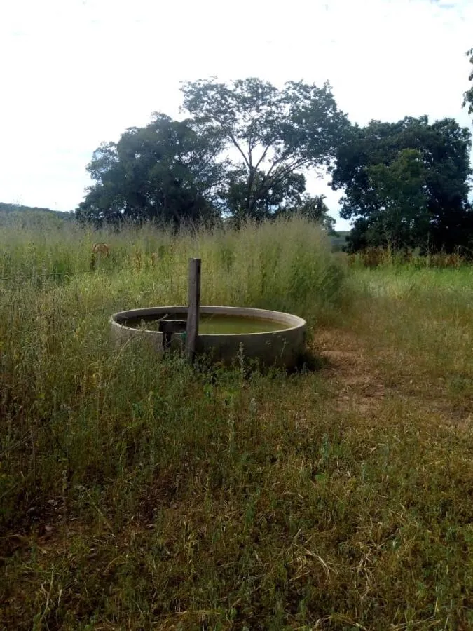 Fazenda à venda de 189 ha em Ponto Chique, MG, Brasil