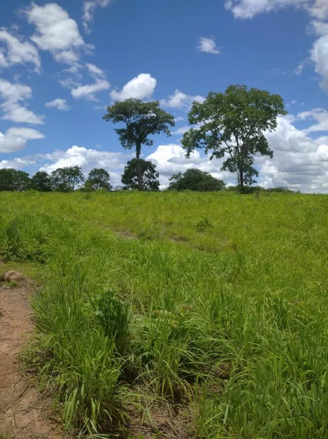 Fazenda à venda de 189 ha em Ponto Chique, MG, Brasil