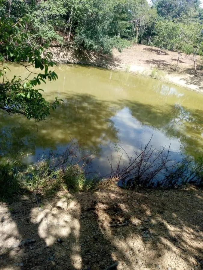 Fazenda à venda de 189 ha em Ponto Chique, MG, Brasil