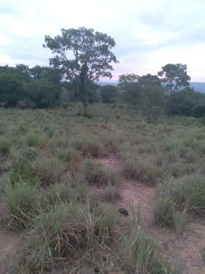 Fazenda à venda de 189 ha em Ponto Chique, MG, Brasil