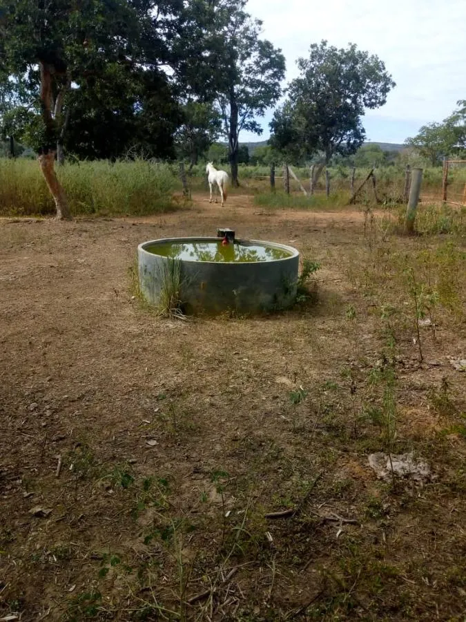 Fazenda à venda de 189 ha em Ponto Chique, MG, Brasil