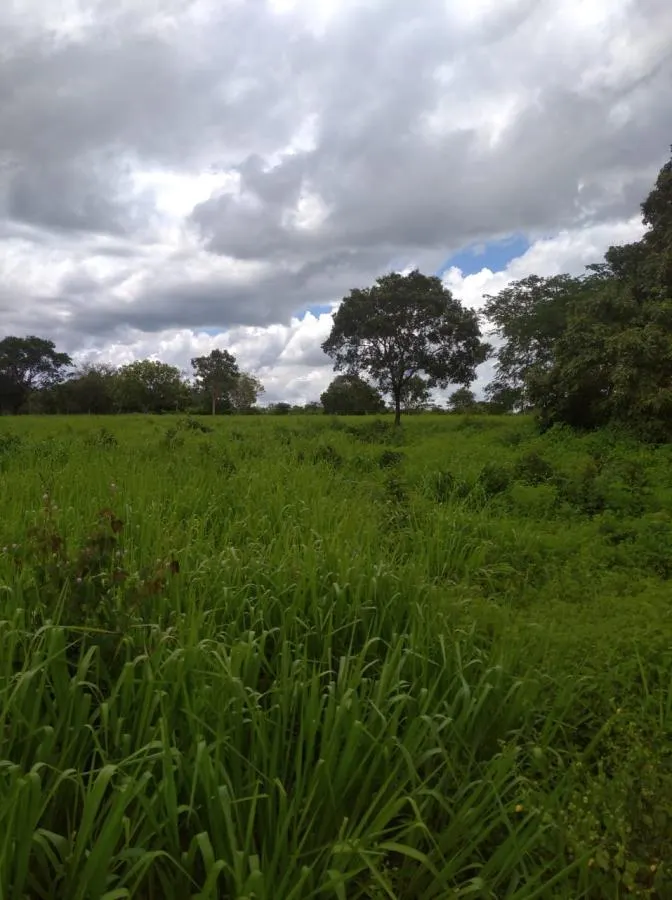 Fazenda à venda de 189 ha em Ponto Chique, MG, Brasil