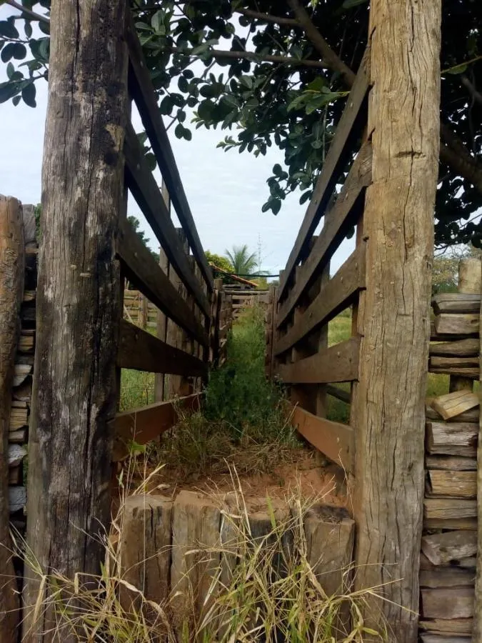 Fazenda à venda de 189 ha em Ponto Chique, MG, Brasil
