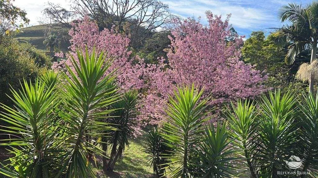 Chácara à venda de 1 ha em Sapucaí-Mirim, MG, Brasil