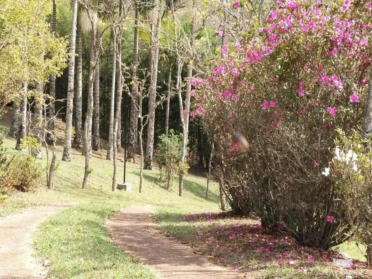 Chácara à venda de 1 ha em Sapucaí-Mirim, MG, Brasil