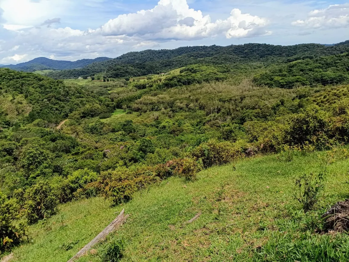 Fazenda à venda de 671 ha em Juquiá, SP, Brasil