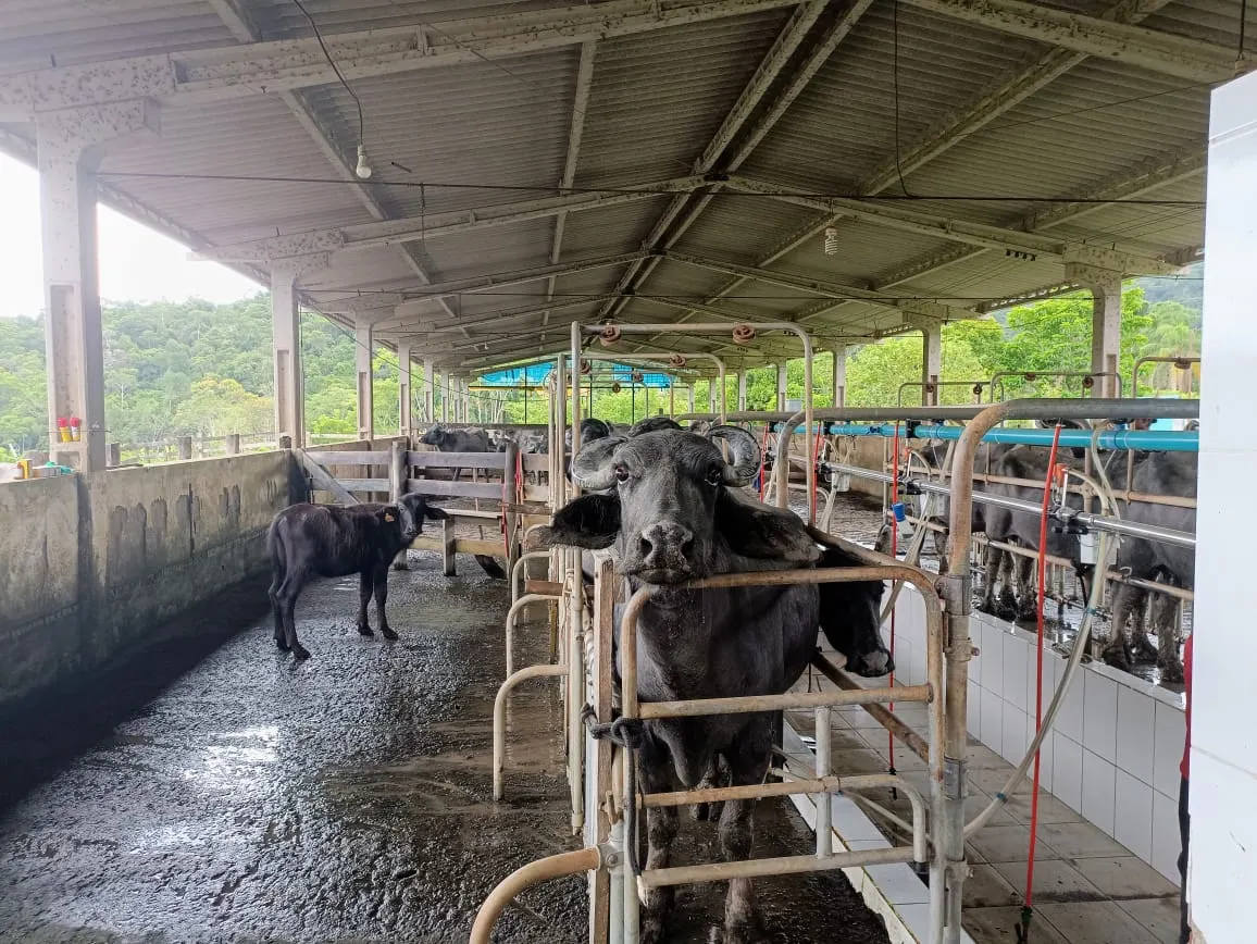 Fazenda à venda de 671 ha em Juquiá, SP, Brasil