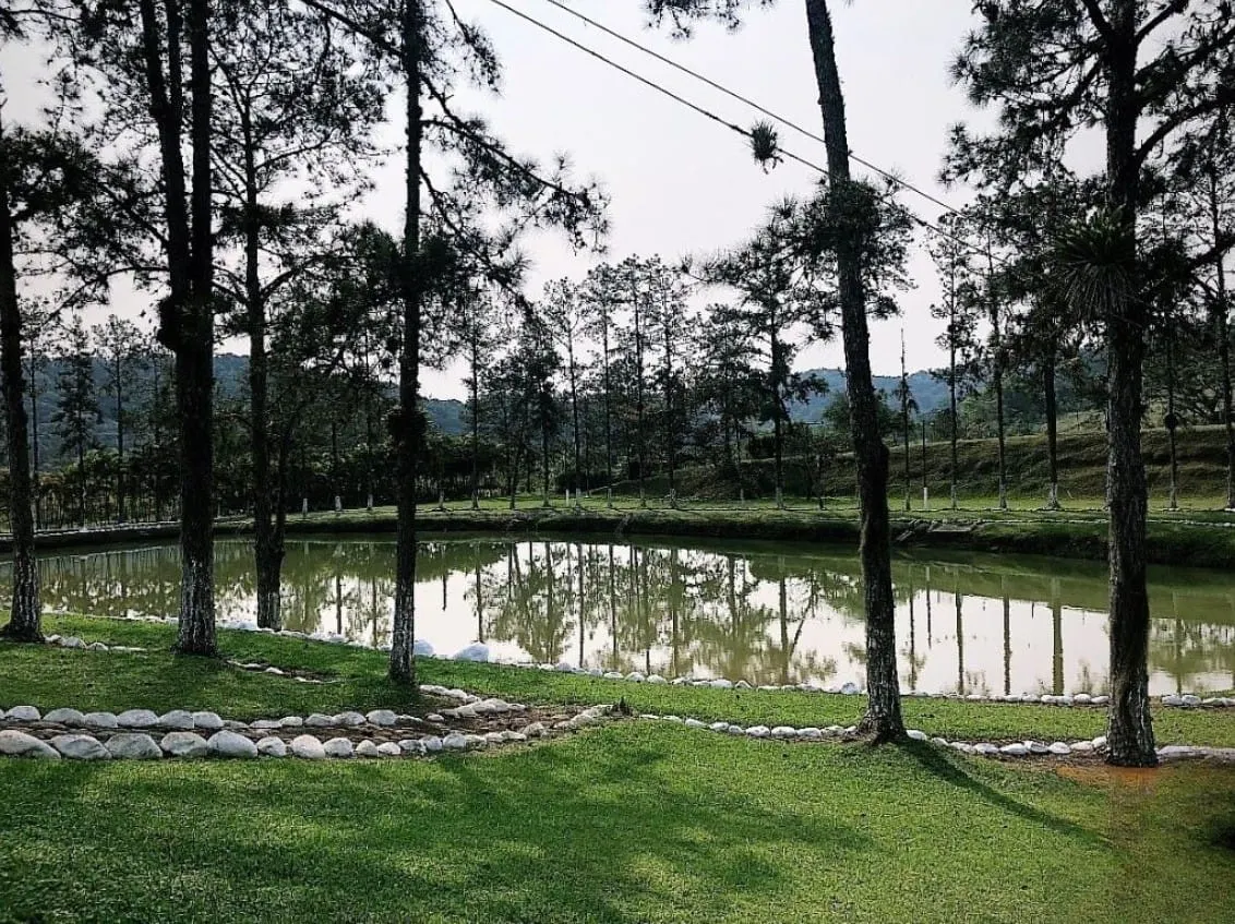 Fazenda à venda de 671 ha em Juquiá, SP, Brasil