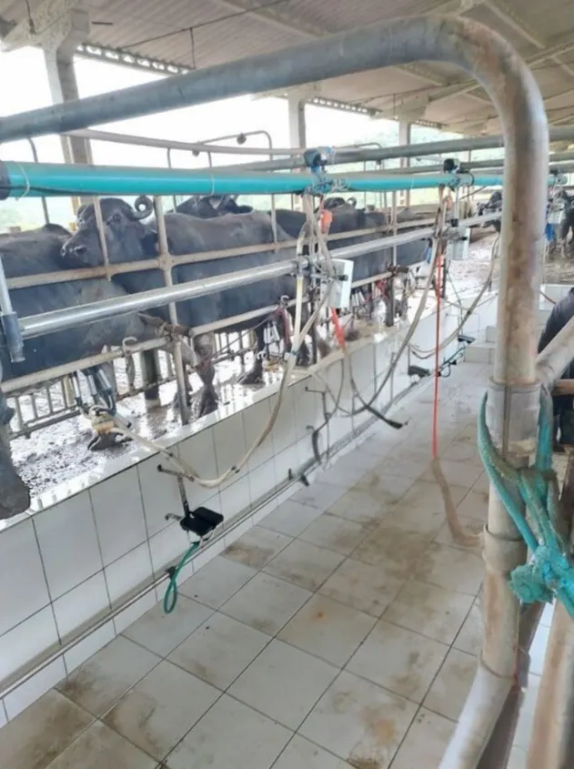 Fazenda à venda de 671 ha em Juquiá, SP, Brasil