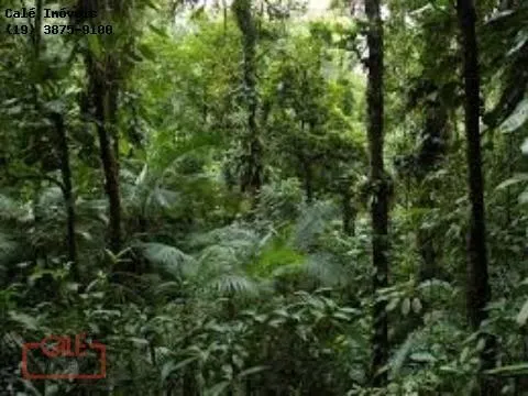 Fazenda à venda de 1.000 ha em Cananéia, SP, Brasil