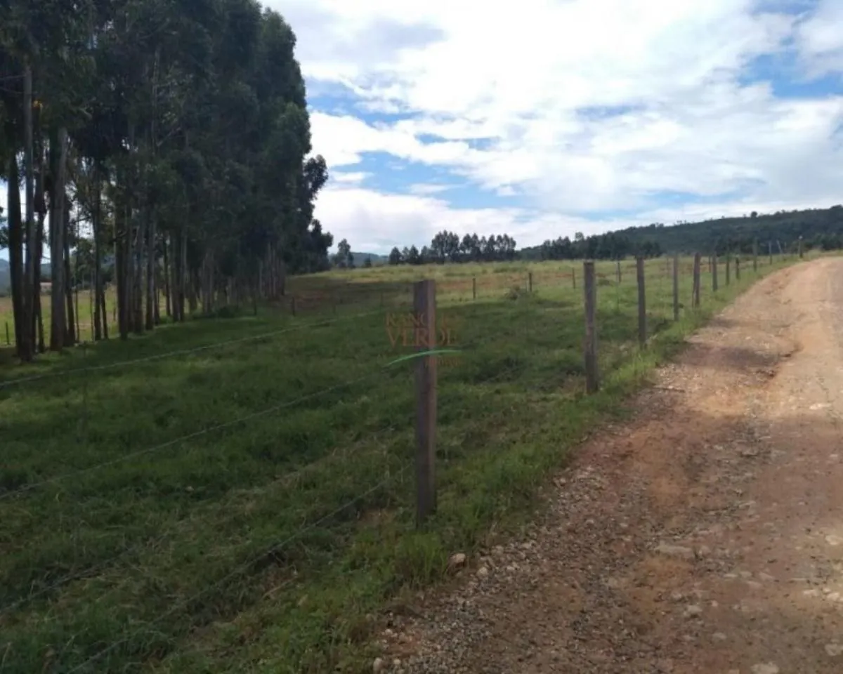 Farm for sale of 605 acres in Divinolândia, SP, Brazil
