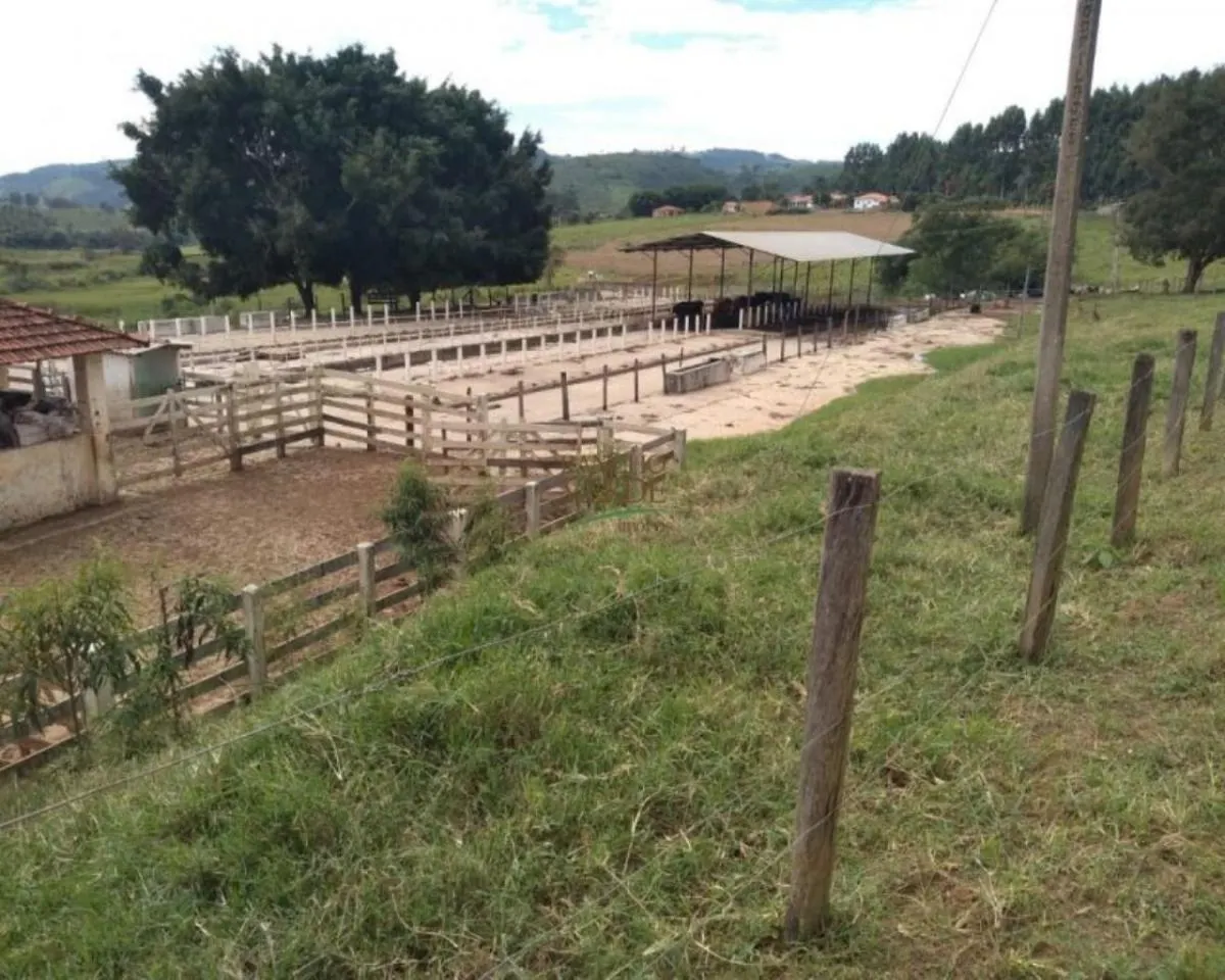 Farm for sale of 605 acres in Divinolândia, SP, Brazil