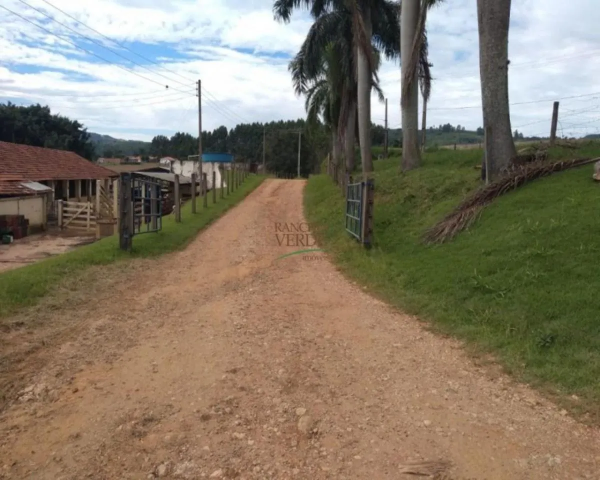 Farm for sale of 605 acres in Divinolândia, SP, Brazil