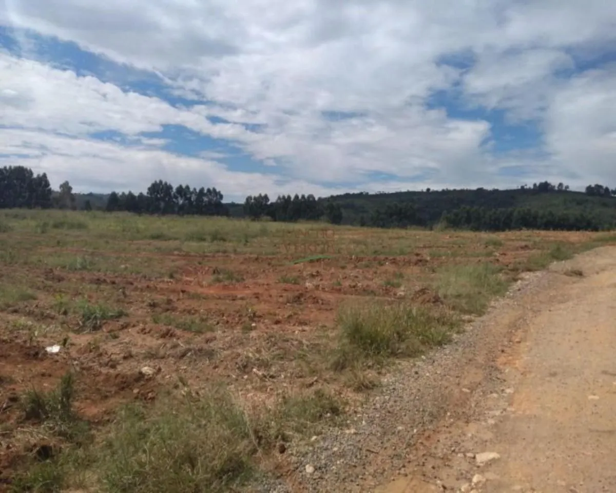 Farm for sale of 605 acres in Divinolândia, SP, Brazil