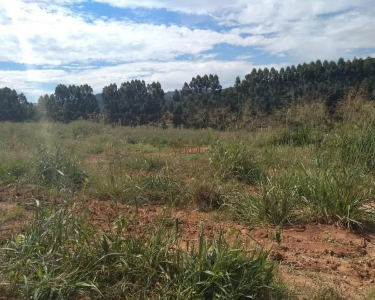 Farm for sale of 605 acres in Divinolândia, SP, Brazil