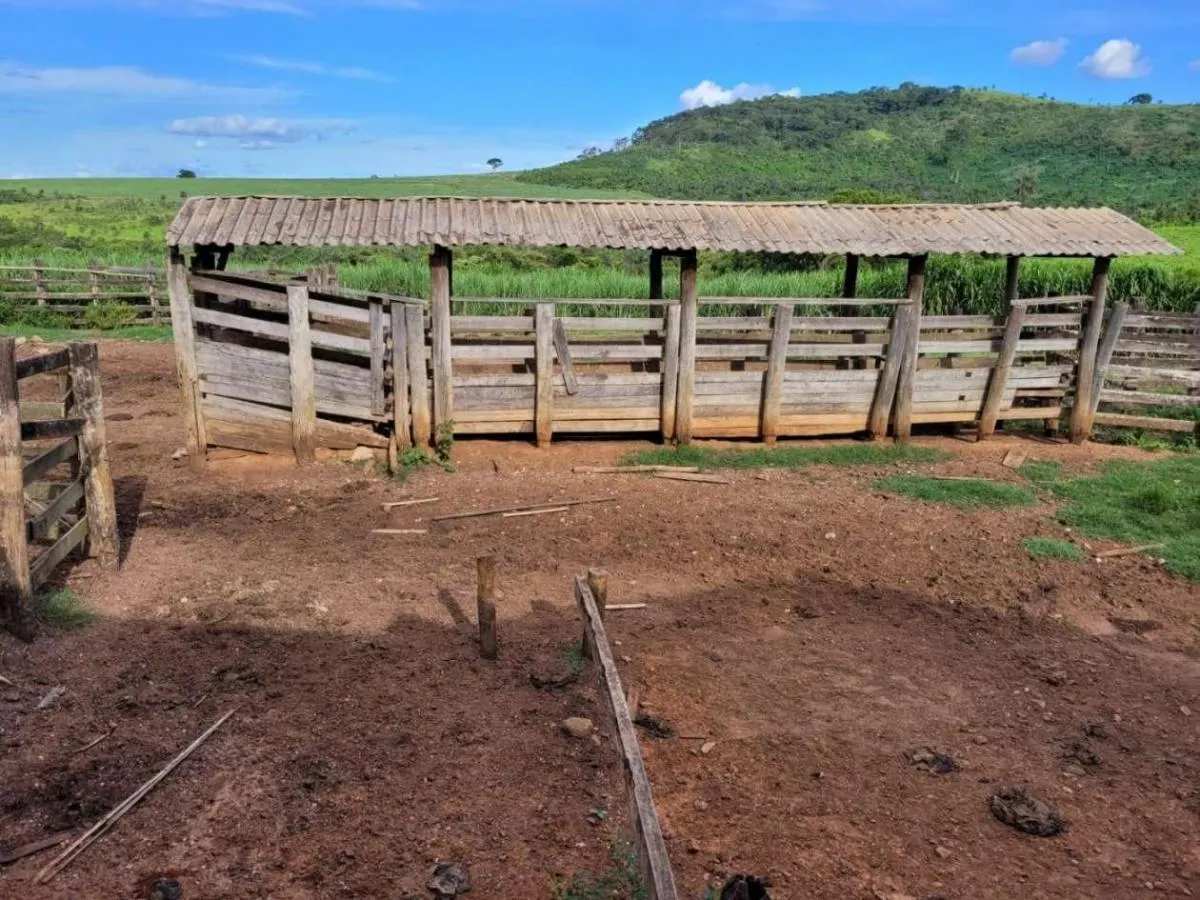 Fazenda à venda de 145 ha em Santa Rosa de Viterbo, SP, Brasil