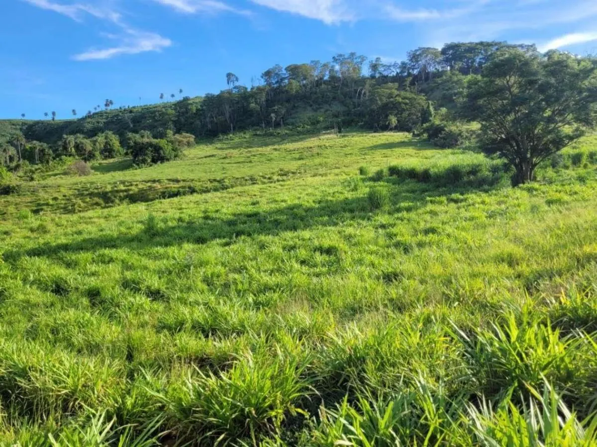 Fazenda à venda de 145 ha em Santa Rosa de Viterbo, SP, Brasil