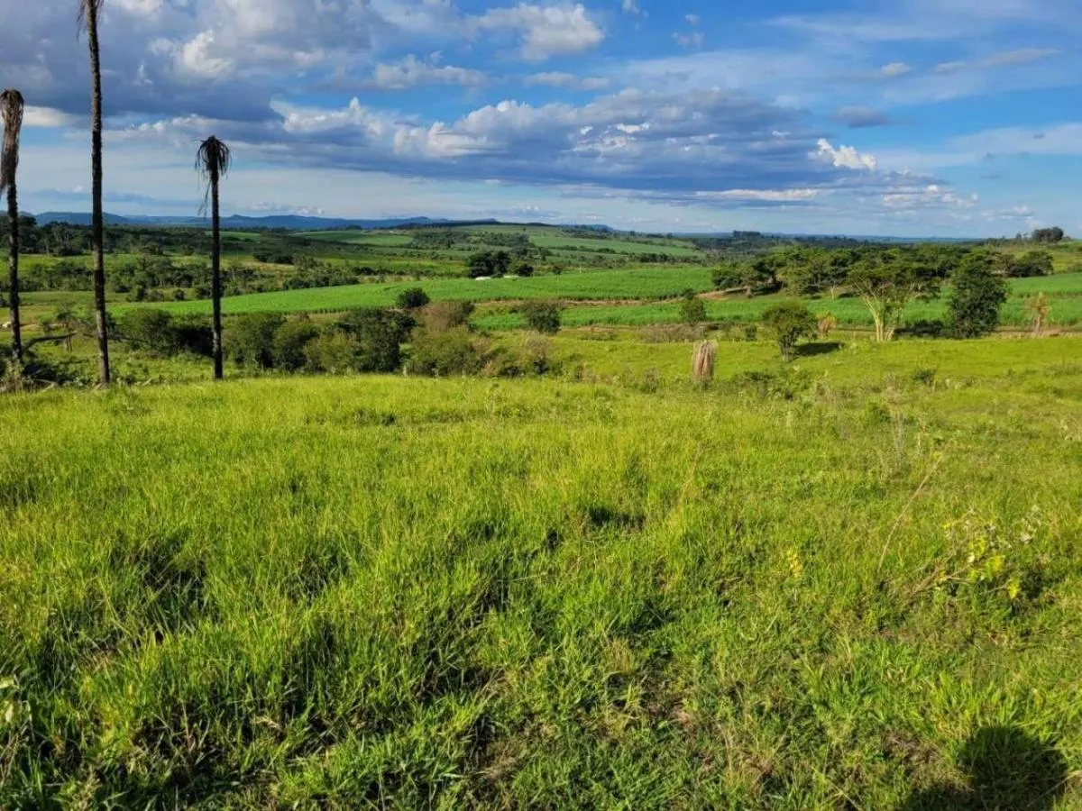 Fazenda à venda de 145 ha em Santa Rosa de Viterbo, SP, Brasil