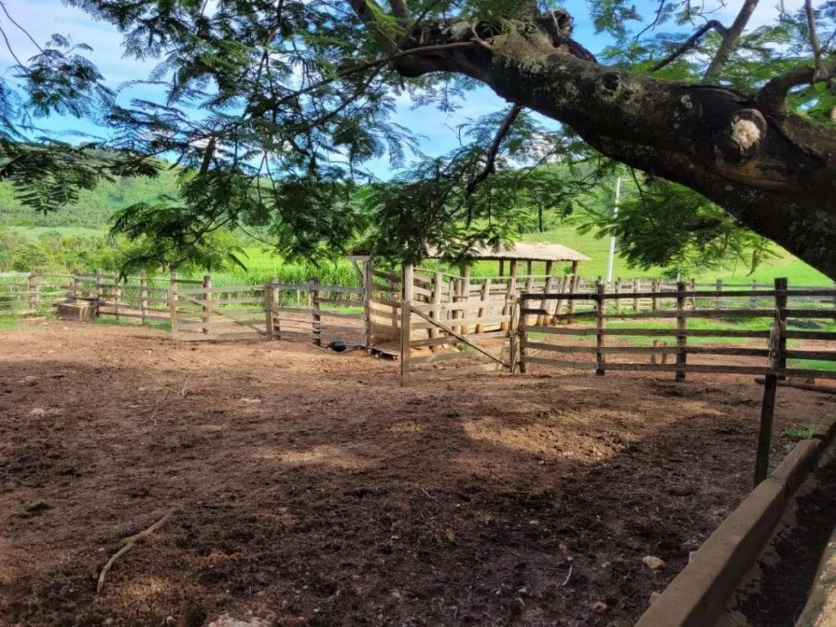 Fazenda à venda de 145 ha em Santa Rosa de Viterbo, SP, Brasil