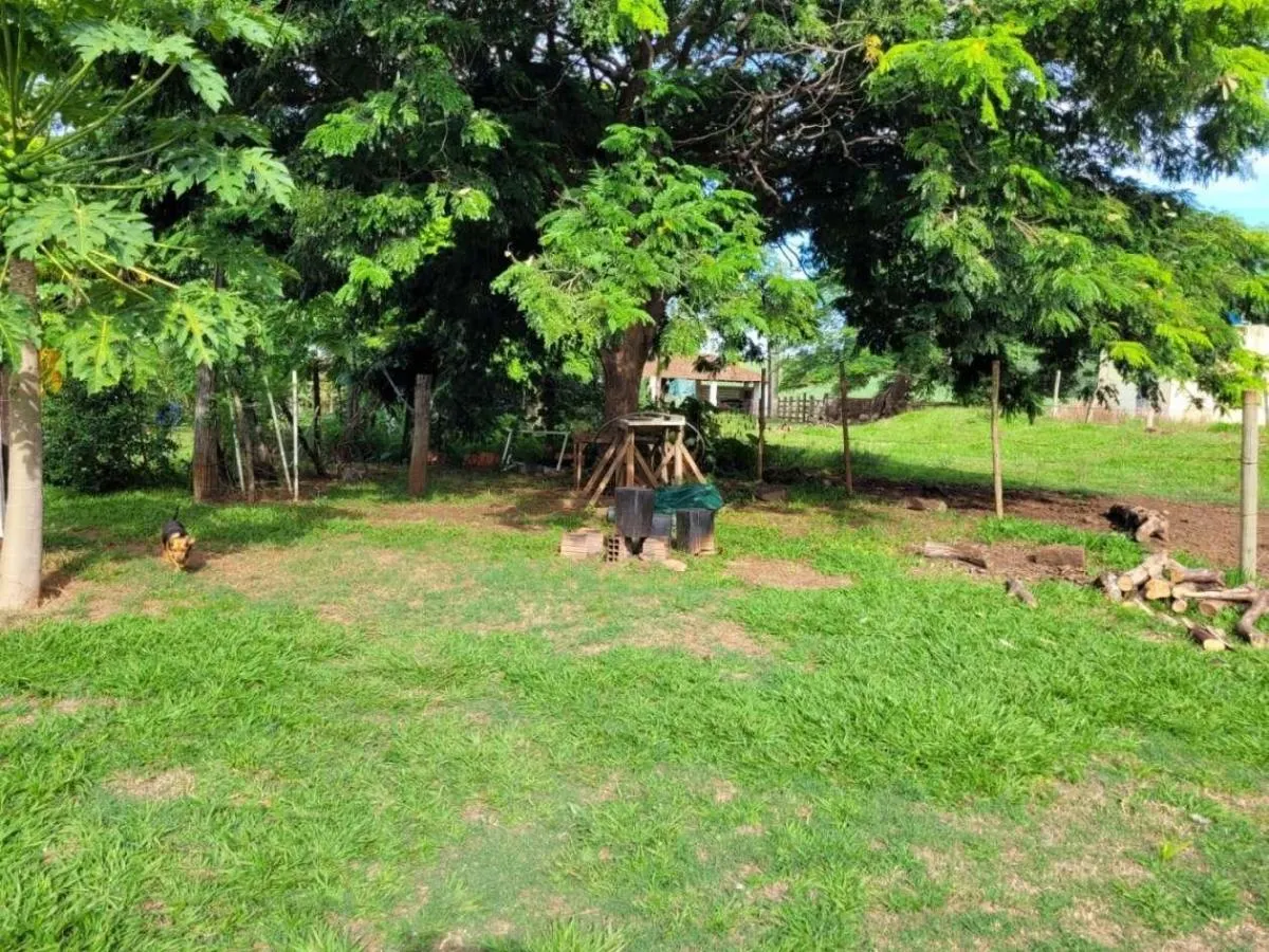 Fazenda à venda de 145 ha em Santa Rosa de Viterbo, SP, Brasil