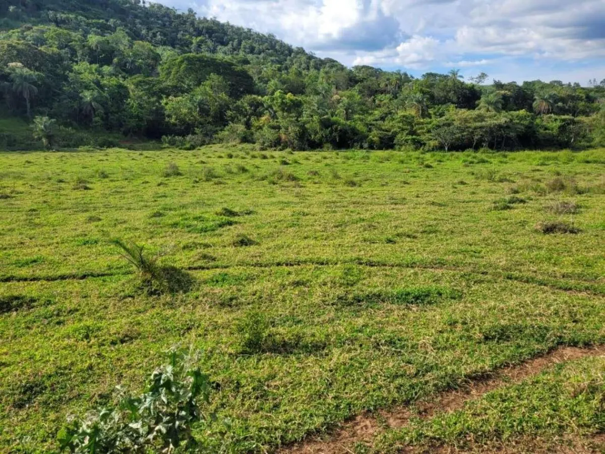 Fazenda à venda de 145 ha em Santa Rosa de Viterbo, SP, Brasil