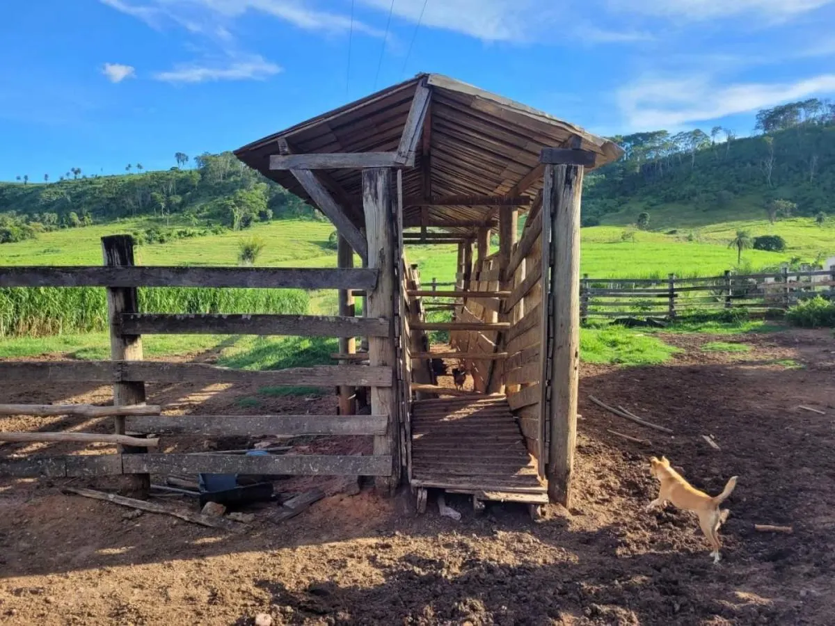 Fazenda à venda de 145 ha em Santa Rosa de Viterbo, SP, Brasil