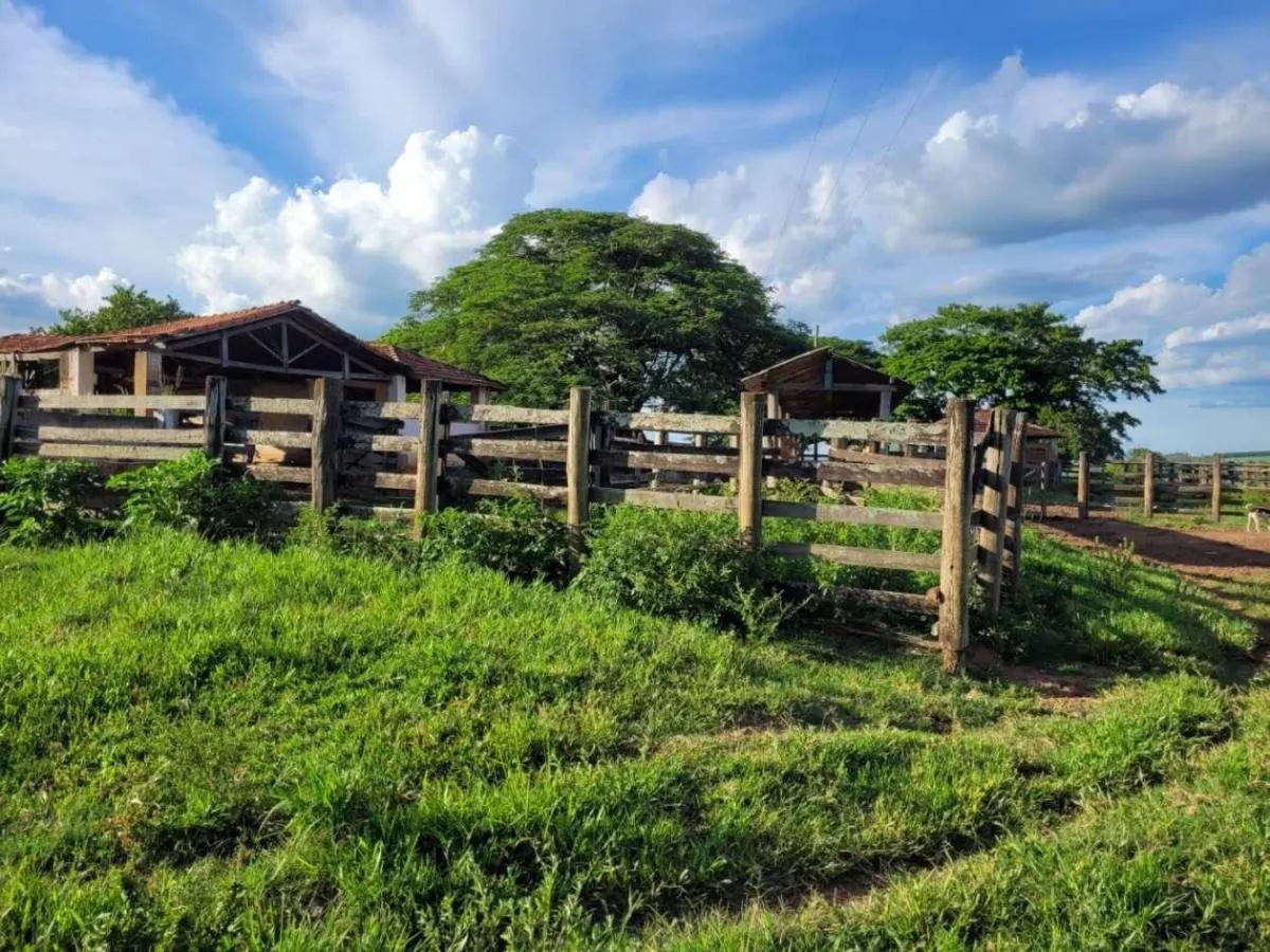 Fazenda à venda de 145 ha em Santa Rosa de Viterbo, SP, Brasil