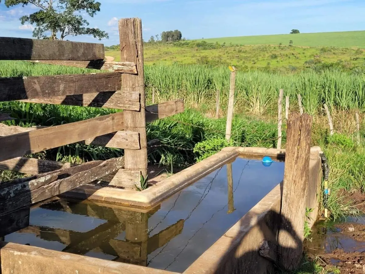 Fazenda à venda de 145 ha em Santa Rosa de Viterbo, SP, Brasil