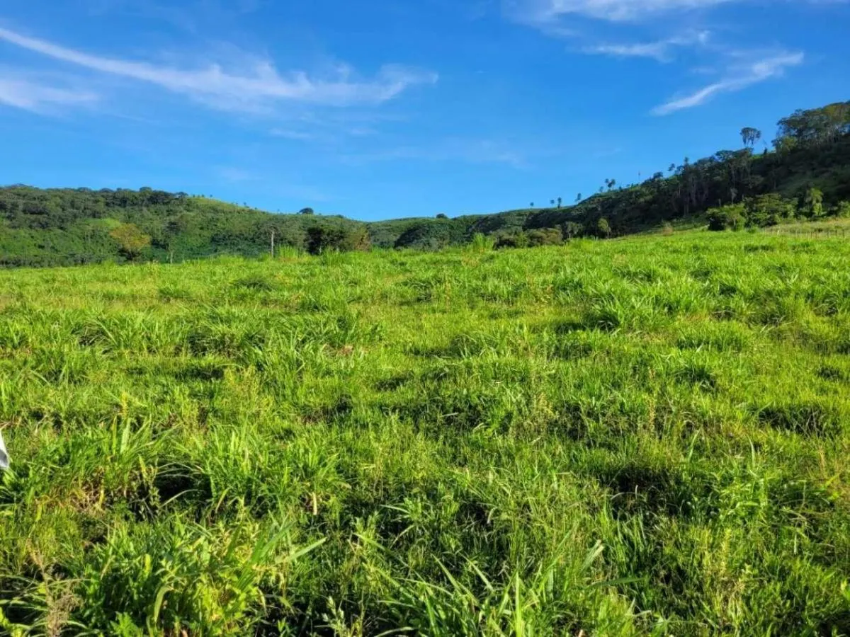 Fazenda à venda de 145 ha em Santa Rosa de Viterbo, SP, Brasil