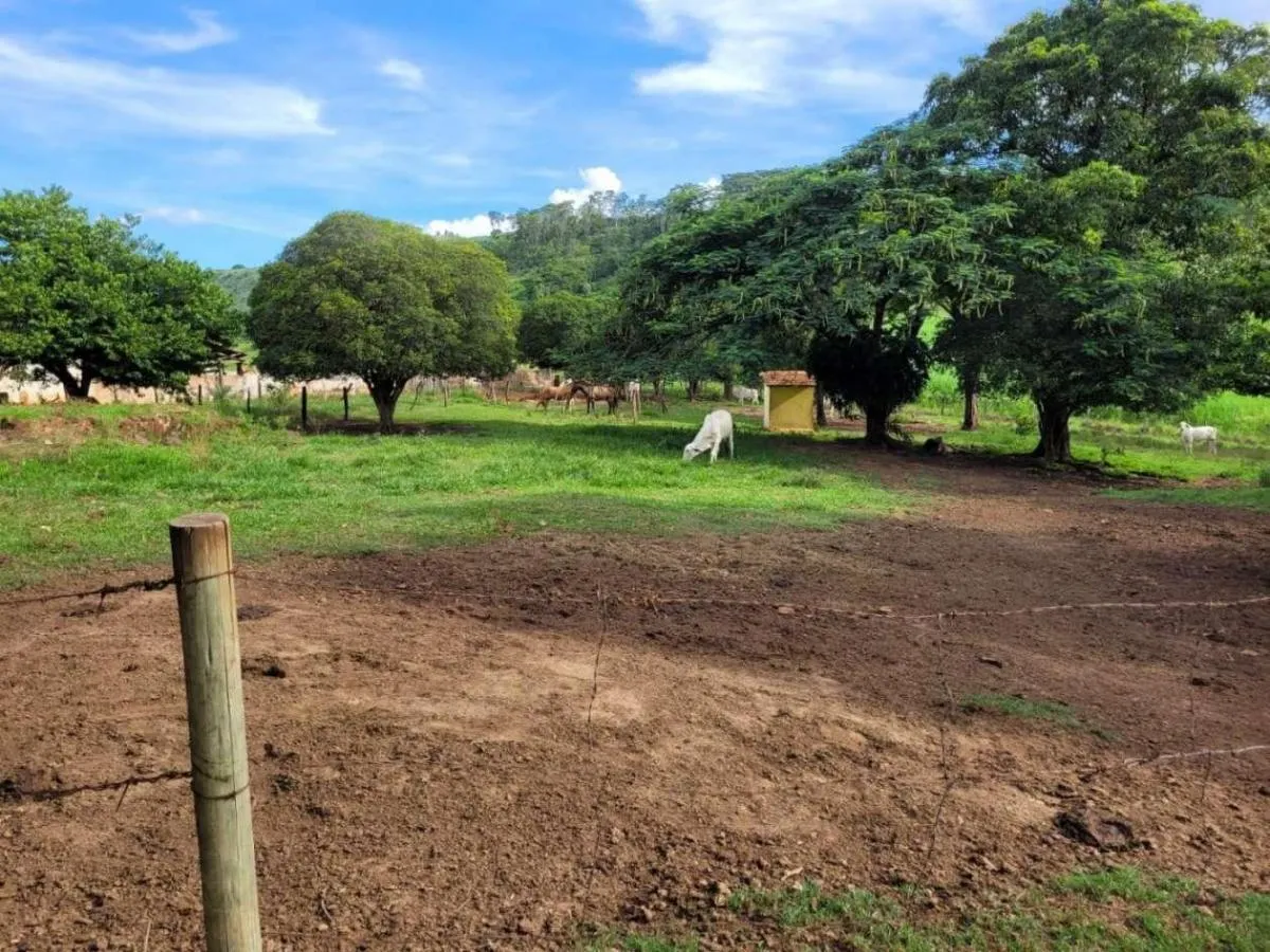 Fazenda à venda de 145 ha em Santa Rosa de Viterbo, SP, Brasil