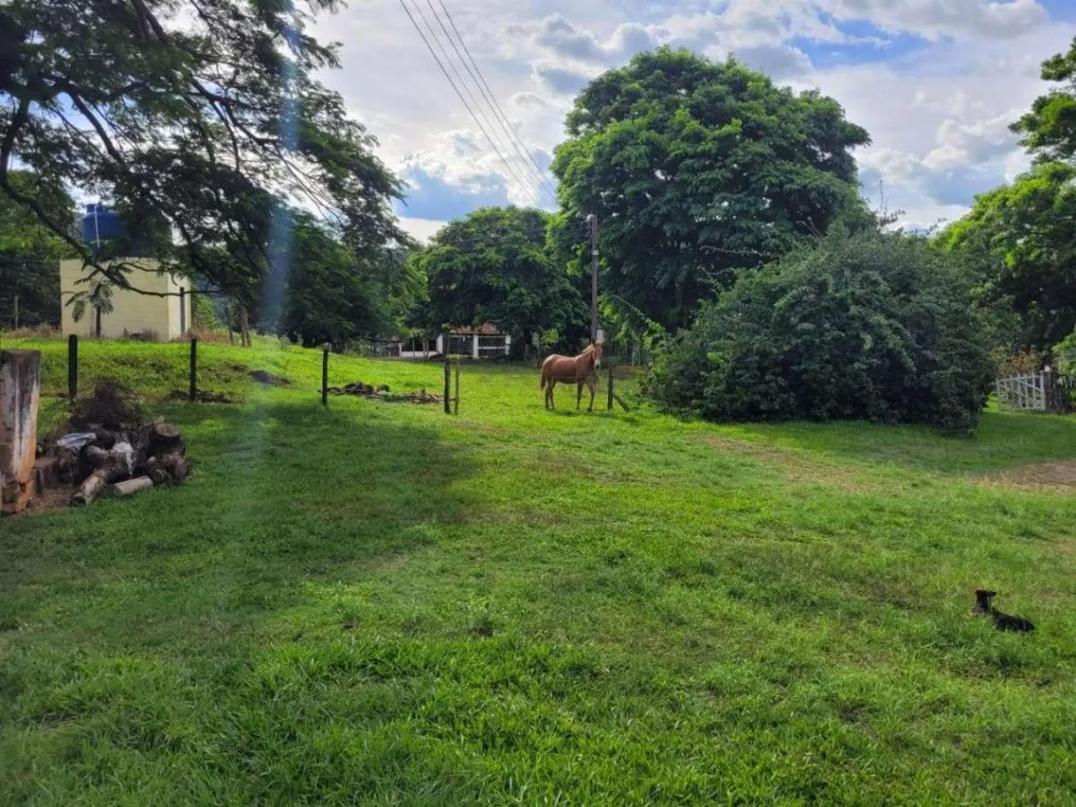 Fazenda à venda de 145 ha em Santa Rosa de Viterbo, SP, Brasil