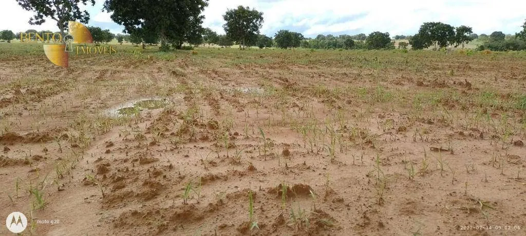 Fazenda à venda de 978 ha em Poconé, MT, Brasil