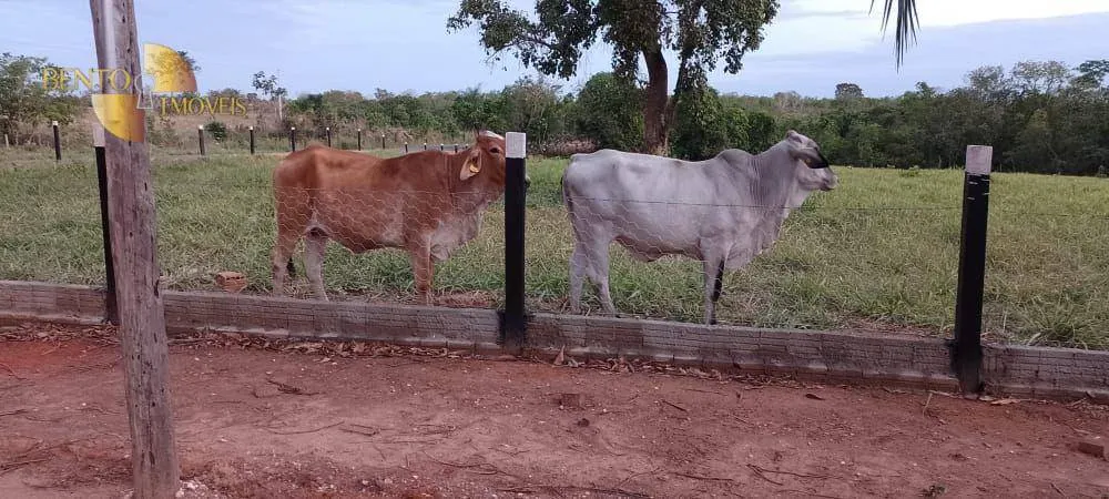 Fazenda à venda de 978 ha em Poconé, MT, Brasil