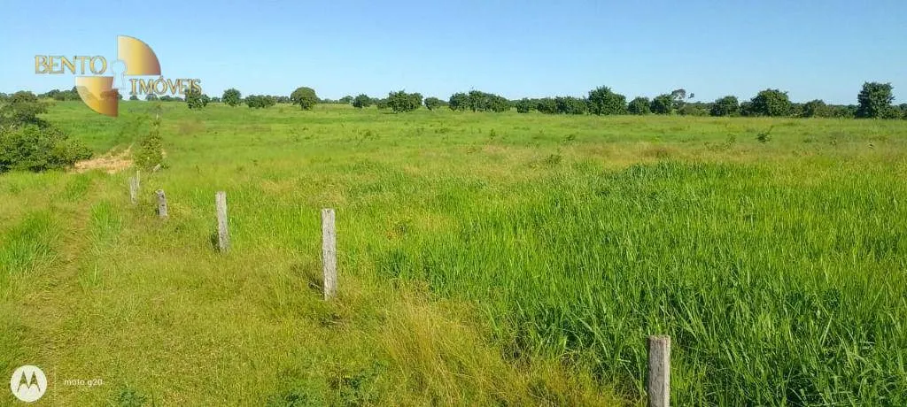 Fazenda à venda de 978 ha em Poconé, MT, Brasil