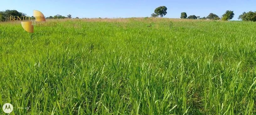 Fazenda à venda de 978 ha em Poconé, MT, Brasil