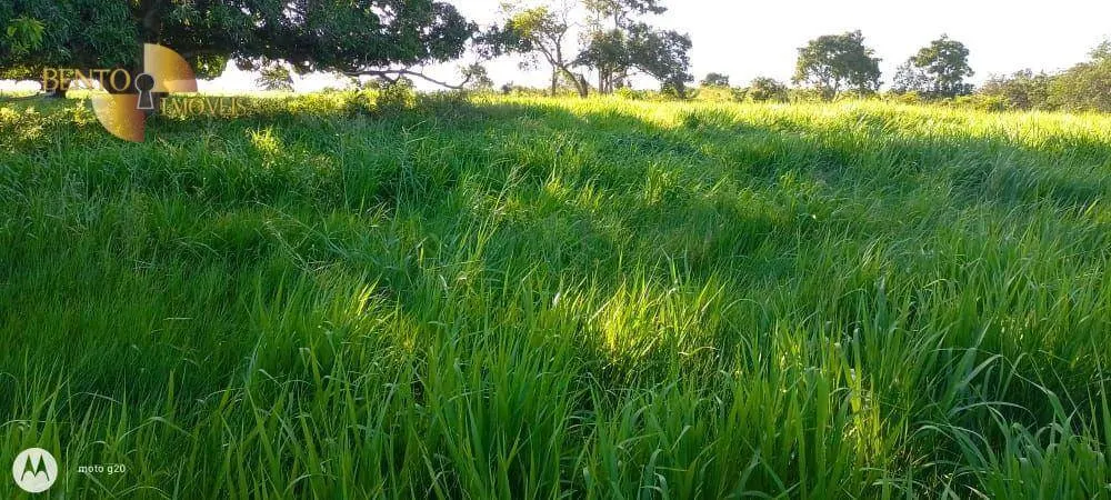 Fazenda à venda de 978 ha em Poconé, MT, Brasil