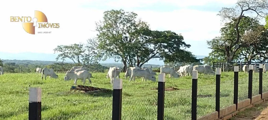Fazenda à venda de 978 ha em Poconé, MT, Brasil