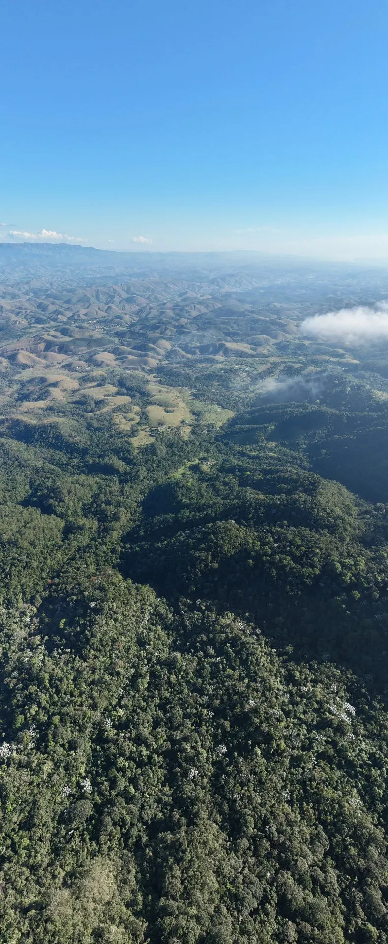 Fazenda à venda de 250 ha em Resende, RJ, Brasil