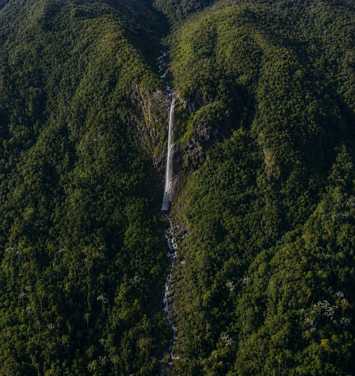 Fazenda à venda de 250 ha em Resende, RJ, Brasil