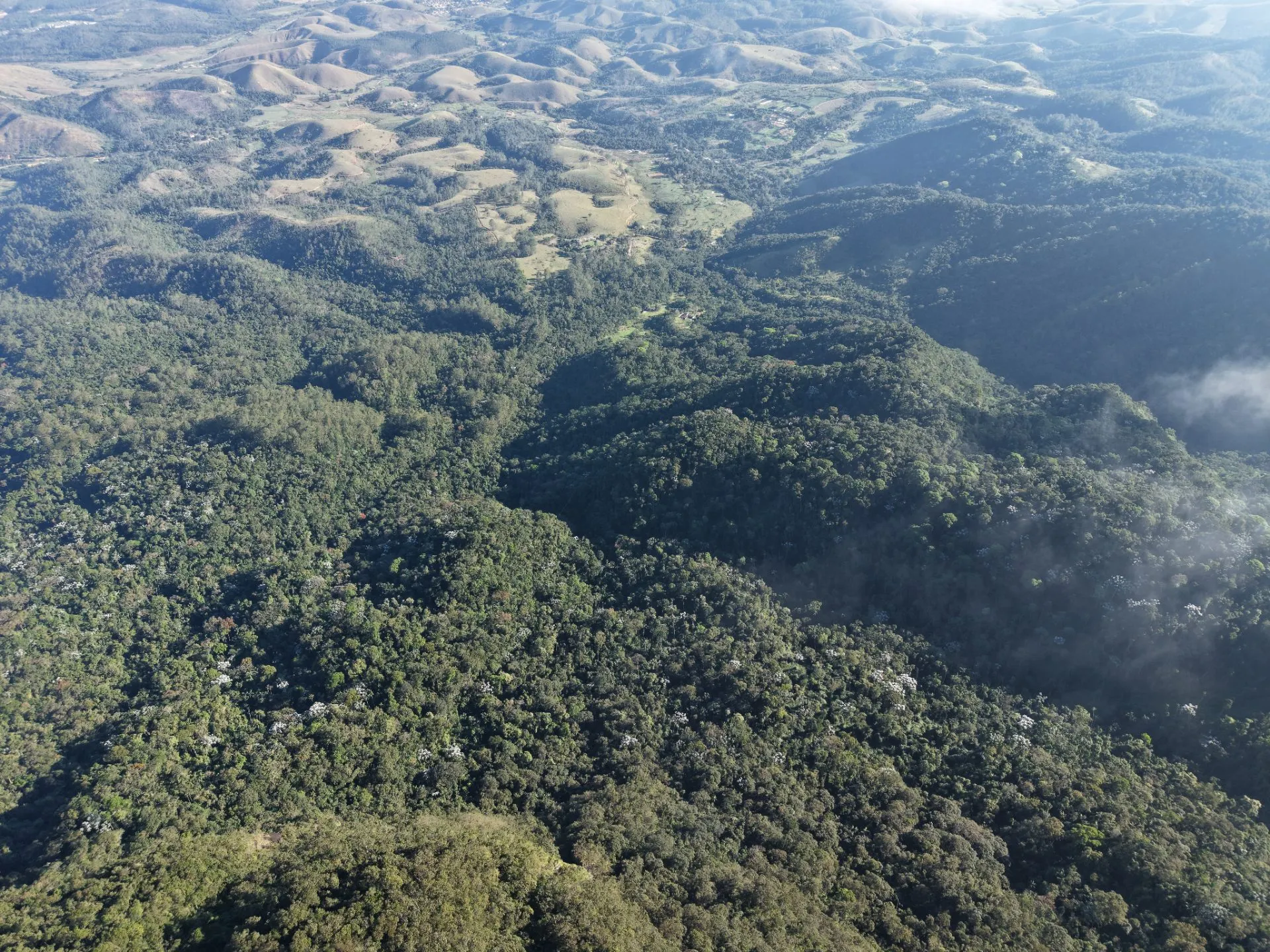 Fazenda à venda de 250 ha em Resende, RJ, Brasil
