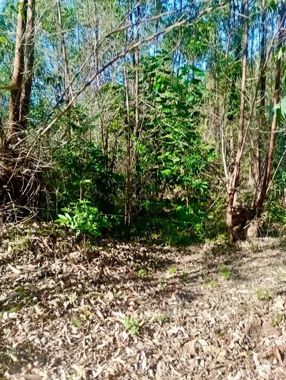 Small farm for sale of 19 acres in Nazaré Paulista, SP, Brazil