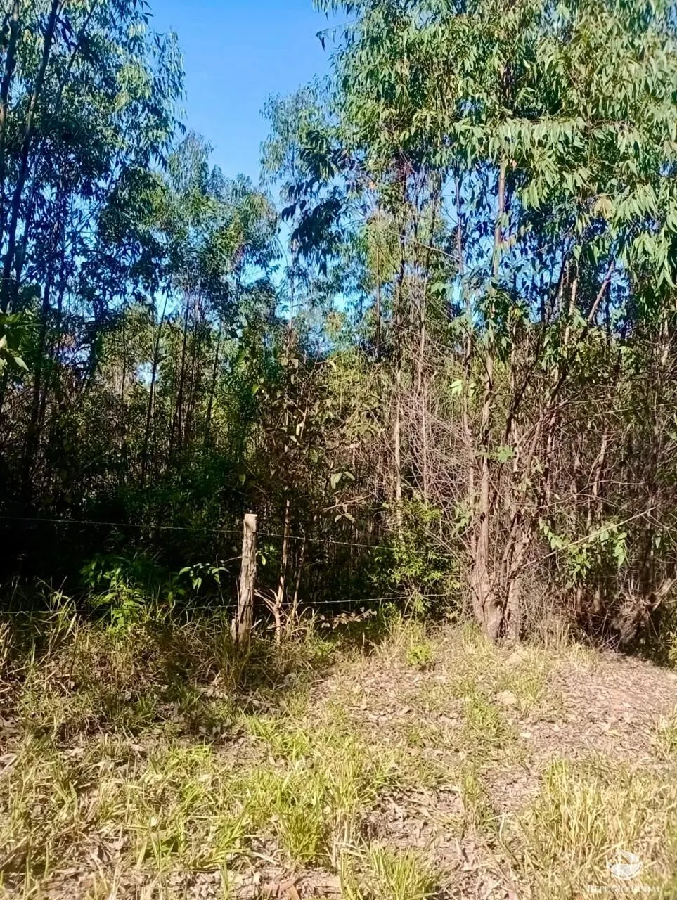 Small farm for sale of 19 acres in Nazaré Paulista, SP, Brazil